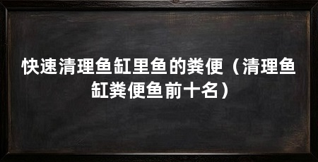 快速清理鱼缸里鱼的粪便（清理鱼缸粪便鱼前十名）