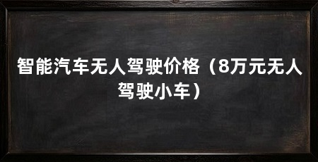 智能汽车无人驾驶价格（8万元无人驾驶小车）