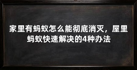 家里有蚂蚁怎么能彻底消灭，屋里蚂蚁快速解决的4种办法