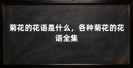 菊花的花语是什么，各种菊花的花语全集