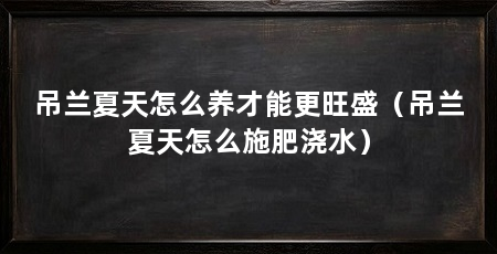 吊兰夏天怎么养才能更旺盛(吊兰夏天怎么施肥浇水)