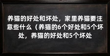 养猫的好处和坏处，家里养猫要注意些什么（养猫的6个好处和5个坏处，养猫的好处和5个坏处