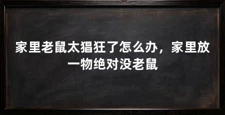 家里老鼠太猖狂了怎么办，家里放一物绝对没老鼠