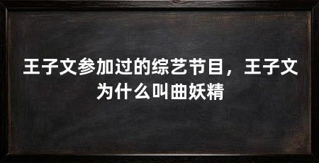 王子文参加过的综艺节目，王子文为什么叫曲妖精