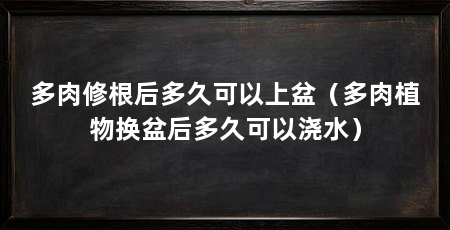 多肉修根后多久可以上盆(多肉植物换盆后多久可以浇水)