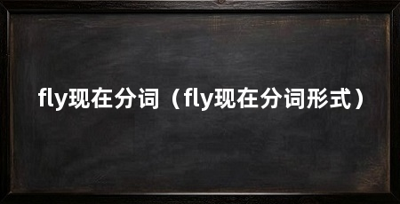 fly现在分词（fly现在分词形式）