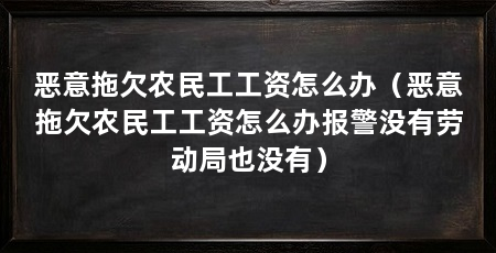 恶意拖欠农民工工资怎么办（恶意拖欠农民工工资怎么办报警没有劳动局也没有）
