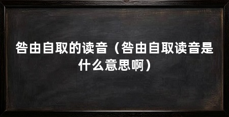 咎由自取的读音(咎由自取读音是什么意思啊)