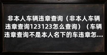 非本人车辆违章查询(非本人车辆违章查询123123怎么查询)(车辆违章查询不是本人名下的车违章怎么查违章查询、查询