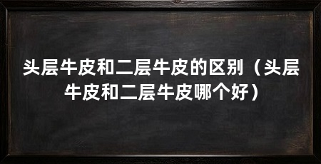 头层牛皮和二层牛皮的区别(头层牛皮和二层牛皮哪个好)