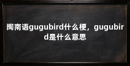闽南语gugubird什么梗，gugubird是什么意思
