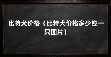 比特犬价格(比特犬价格多少钱一只图片)