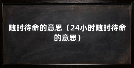 随时待命的意思(24小时随时待命的意思)