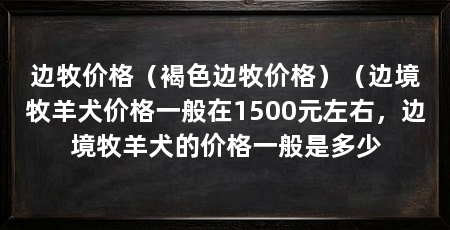 边牧价格（褐色边牧价格）（边境牧羊犬价格一般在1500元左右，边境牧羊犬的价格一般是多少