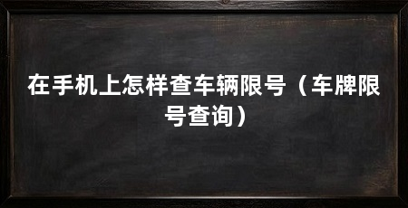 在手机上怎样查车辆限号(车牌限号查询)