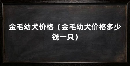 金毛幼犬价格(金毛幼犬价格多少钱一只)