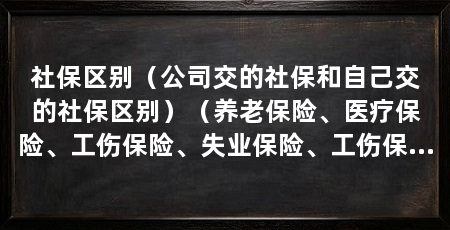 社保区别（公司交的社保和自己交的社保区别）（养老保险、医疗保险、工伤保险、失业保险、工伤保险、生育保险