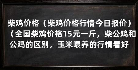 柴鸡价格（柴鸡价格行情今日报价）（全国柴鸡价格15元一斤，柴公鸡和公鸡的区别，玉米喂养的行情看好
