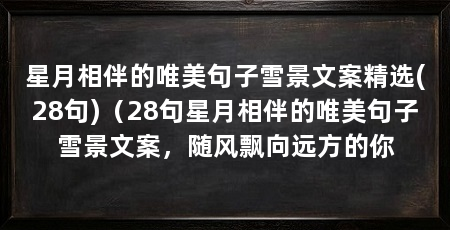 星月相伴的唯美句子雪景文案精选(28句)(28句星月相伴的唯美句子雪景文案,随风飘向远方的你