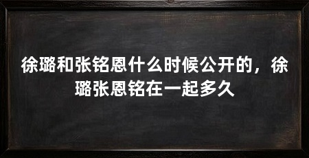 徐璐和张铭恩什么时候公开的,徐璐张恩铭在一起多久
