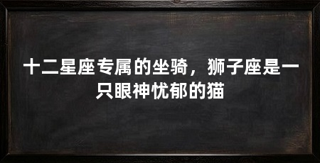 十二星座专属的坐骑,狮子座是一只眼神忧郁的猫
