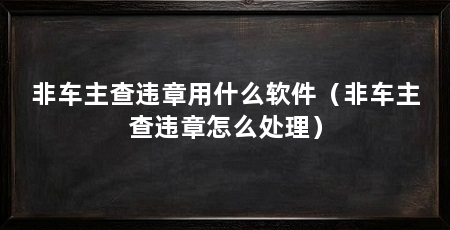 非车主查违章用什么软件（非车主查违章怎么处理）