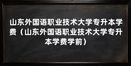 山东外国语职业技术大学专升本学费(山东外国语职业技术大学专升本学费学前)