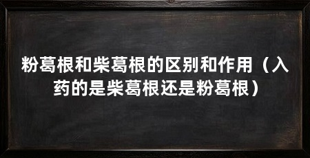 粉葛根和柴葛根的区别和作用(入药的是柴葛根还是粉葛根)