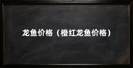 龙鱼价格(橙红龙鱼价格)