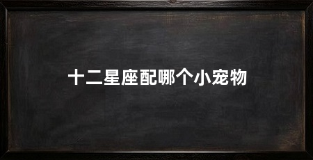 十二星座配哪个小宠物