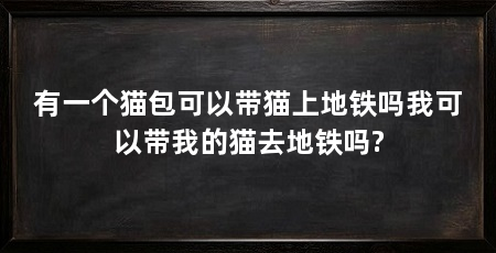 有一个猫包可以带猫上地铁吗我可以带我的猫去地铁吗?