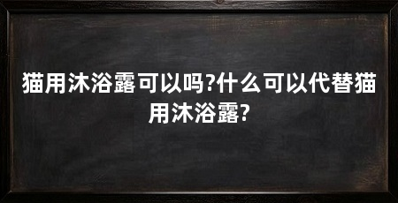 猫用沐浴露可以吗?什么可以代替猫用沐浴露?