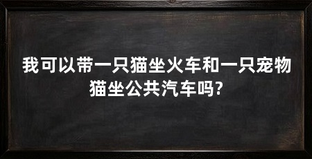 我可以带一只猫坐火车和一只宠物猫坐公共汽车吗?