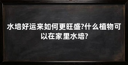 水培好运来如何更旺盛?什么植物可以在家里水培?