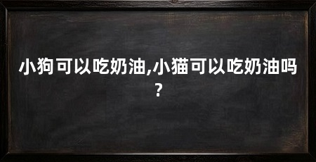 小狗可以吃奶油,小猫可以吃奶油吗?
