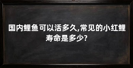 国内鲤鱼可以活多久,常见的小红鲤寿命是多少?