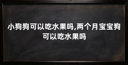 小狗狗可以吃水果吗,两个月宝宝狗可以吃水果吗