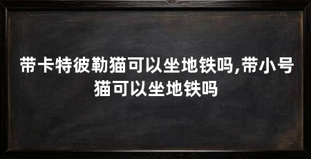 带卡特彼勒猫可以坐地铁吗,带小号猫可以坐地铁吗