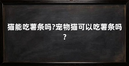 猫能吃薯条吗?宠物猫可以吃薯条吗?