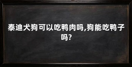 泰迪犬狗可以吃鸭肉吗,狗能吃鸭子吗?