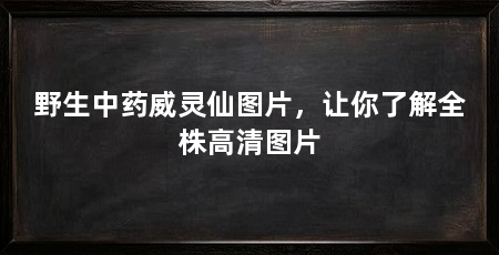 野生中药威灵仙图片，让你了解全株高清图片