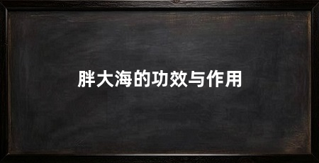 胖大海的功效与作用