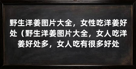 野生洋姜图片大全，女性吃洋姜好处（野生洋姜图片大全，女人吃洋姜好处多，女人吃有很多好处