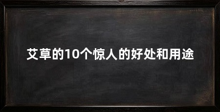 艾草的10个惊人的好处和用途