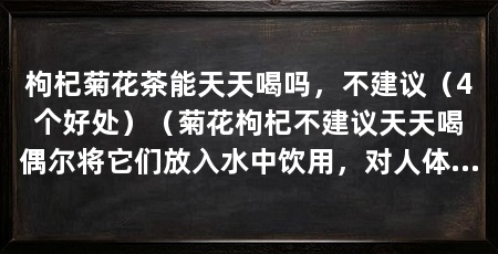 枸杞菊花茶能天天喝吗，不建议（4个好处）（菊花枸杞不建议天天喝偶尔将它们放入水中饮用，对人体有益