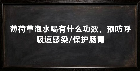 薄荷草泡水喝有什么功效，预防呼吸道感染/保护肠胃