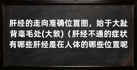肝经的走向准确位置图，始于大趾背毫毛处(大敦)（肝经不通的症状有哪些肝经是在人体的哪些位置呢