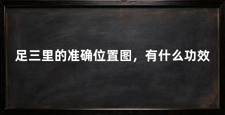 足三里的准确位置图，有什么功效