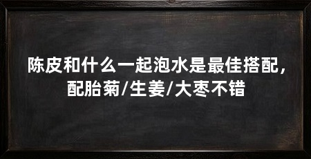 陈皮和什么一起泡水是最佳搭配，配胎菊/生姜/大枣不错