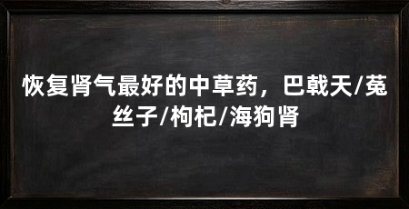 恢复肾气最好的中草药,巴戟天/菟丝子/枸杞/海狗肾